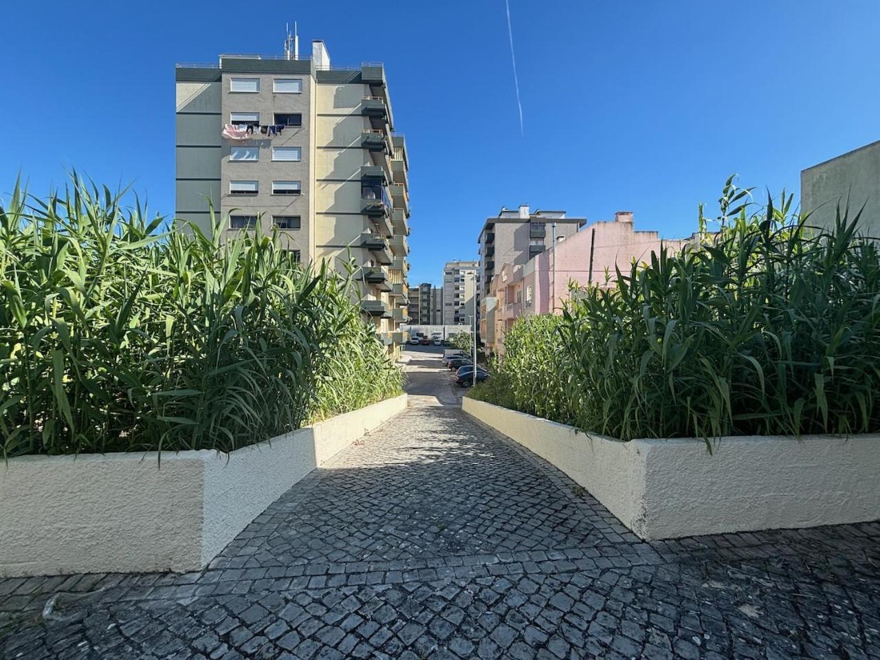 Rosario - Two Bedroom Apart- Buarcos - Figueira Da Foz Exteriér fotografie